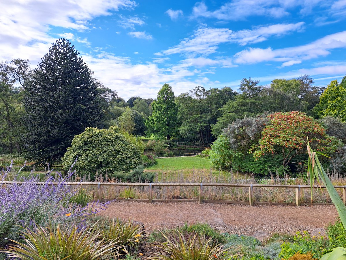 Leeds Parks tweet media