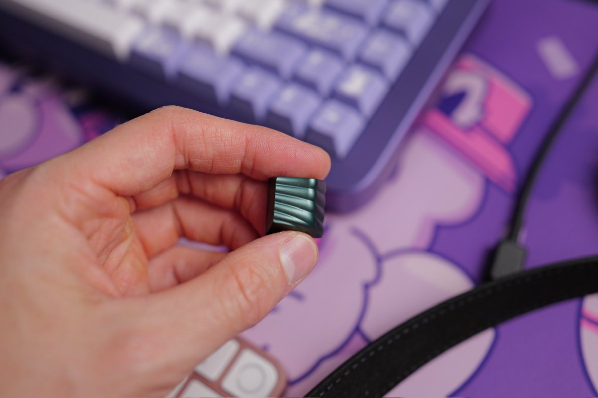 Not many of these little cuties left - once they’re gone, they’re gone!

PUDDING - R2 (PINE CLUB)

hibi.mx/products/puddi…