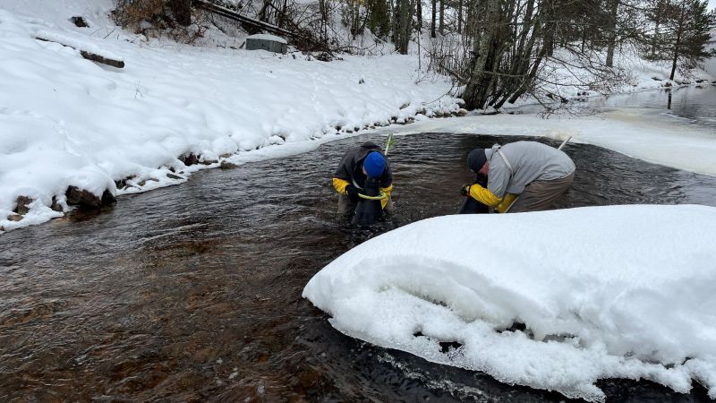 Iloinen perheuutinen Arvajankoskella! 🐟 🌊 ♥️ Uhanalainen taimen on palannut kutemaan. 🙌

Lue täältä lisää 👉 go.upm.com/4gEQtZw
📸: Keski-Suomen Vesi ja Ympäristö ry