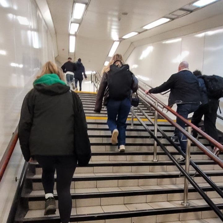 CDS Art Department tweet media