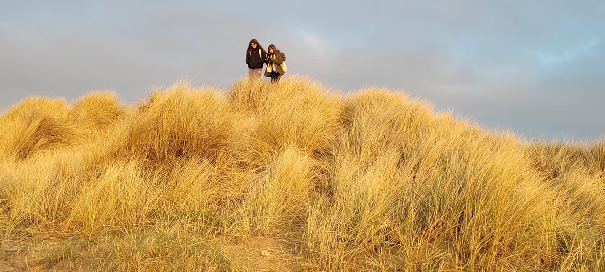 CDS Art Department tweet media