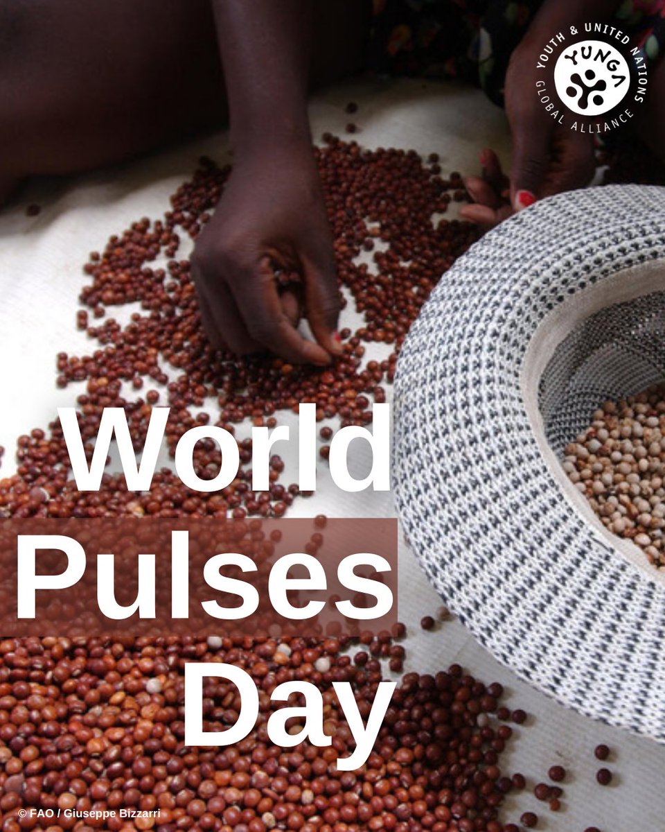 Happy #WolrdPulsesDay!✨

#Pulses are edible seeds of the plants from the #legume family. 

They are very nutritious and offer many benefits for #health and the #environment.🌟

Which is your favourite pulse?👀  

Let us know in the comments!