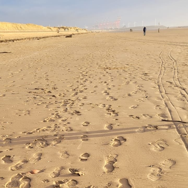 CDS Art Department tweet media