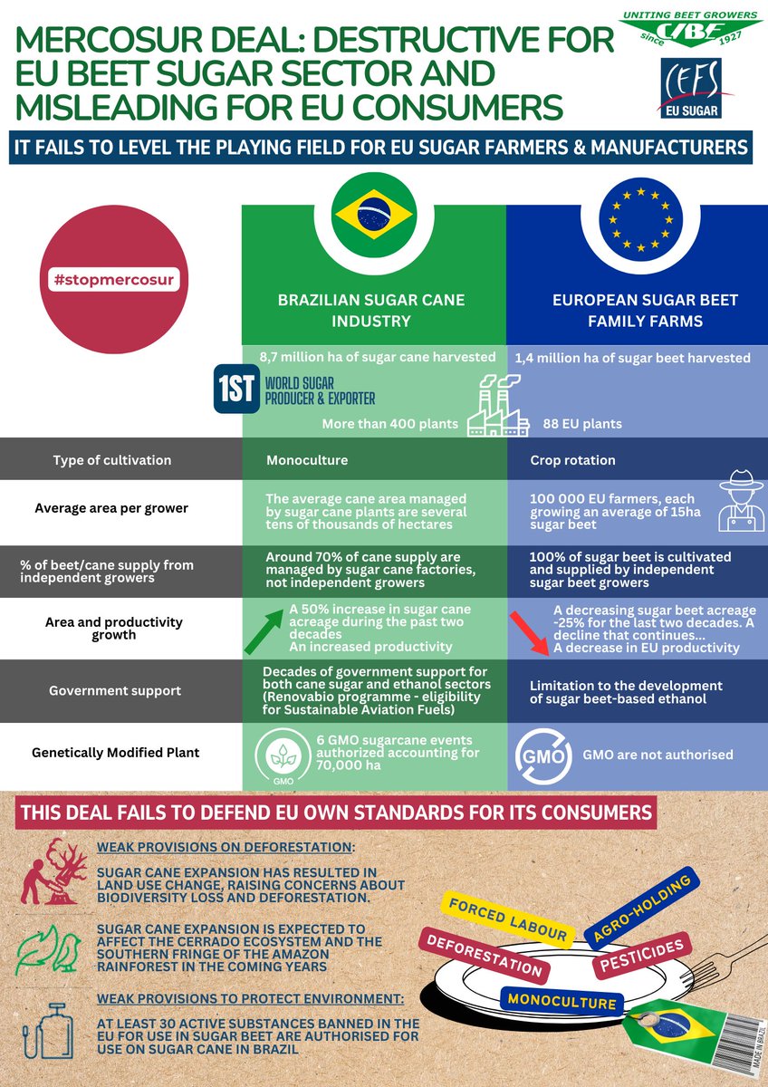 SugarBeetEurope's tweet photo. The Mercosur agreement does
❌not ensure fair competition for EU farmers
❌not prioritise consumer protection
❌not include strong safeguards to protect the environment
▶️Read how this bad outdated deal would be destructive for our European #SugarBeet sector
⛔️#StopMercosur https://t.co/pdABNMRZxP