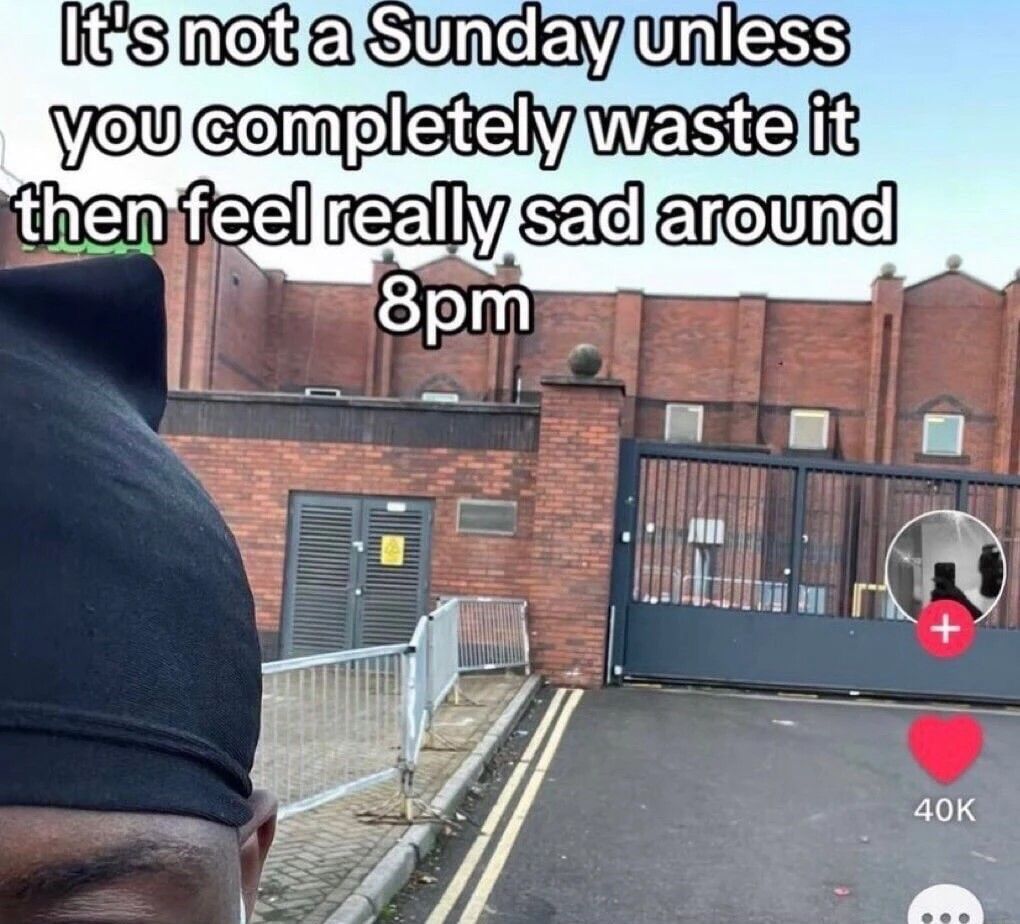 Wild TikToks tweet media