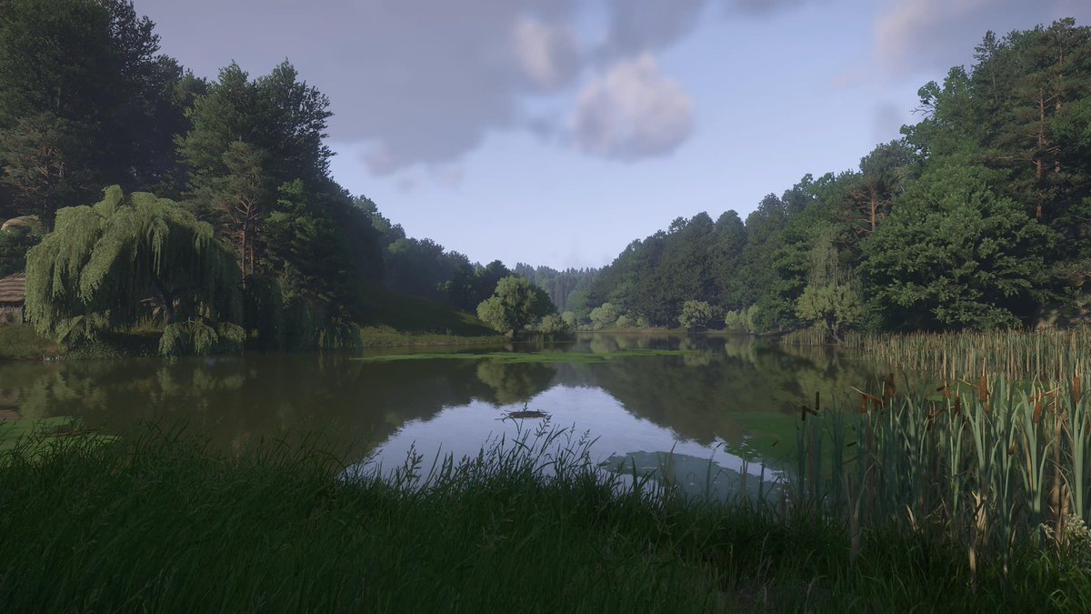 Ross Thoroughgood tweet media