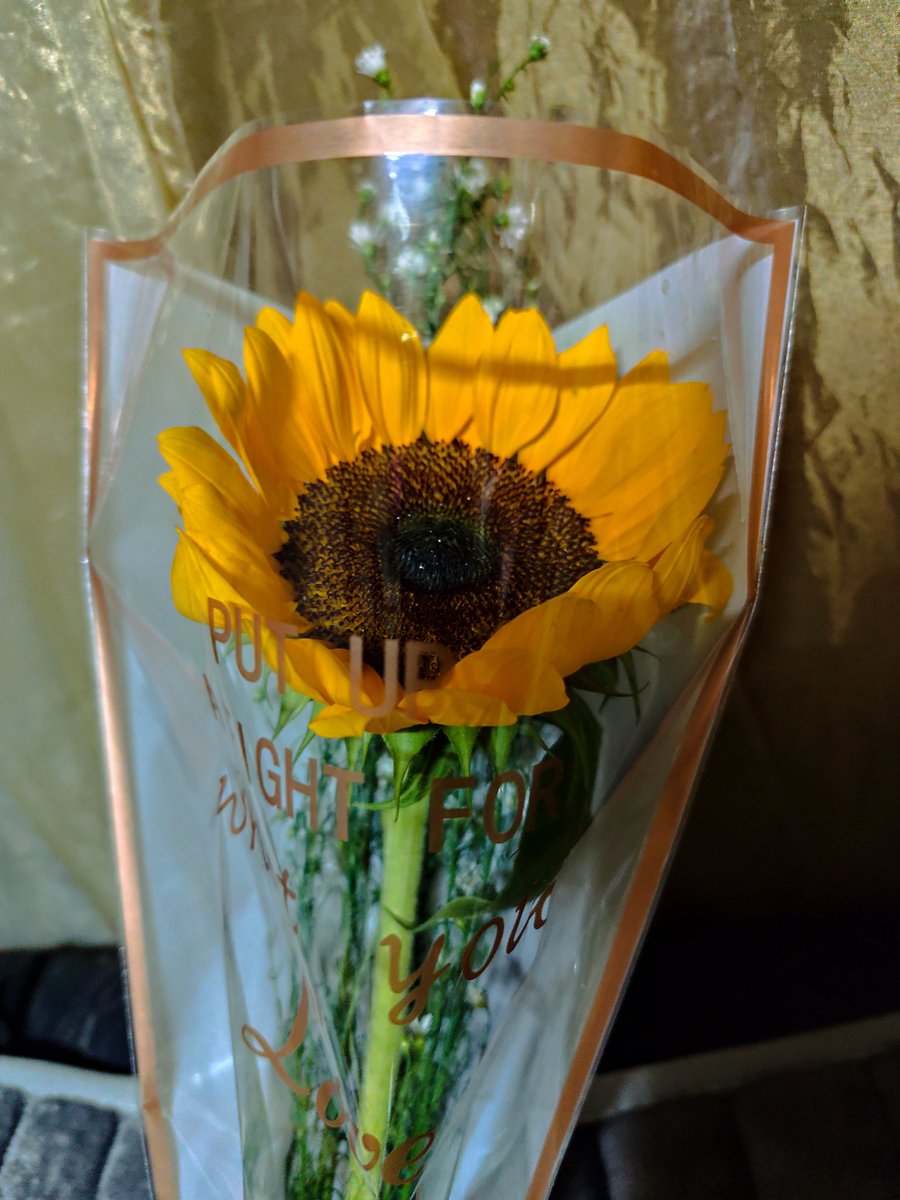 🌻