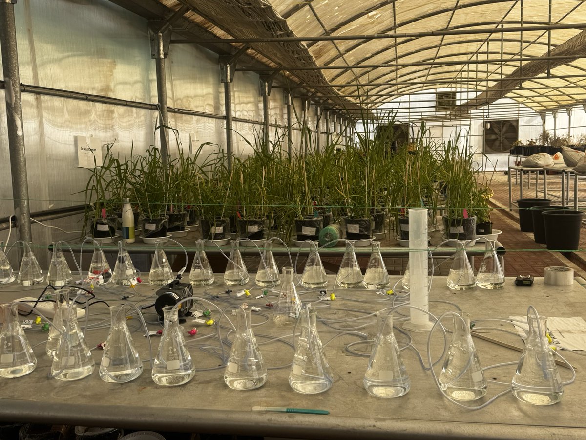 Amit Kumar tweet media