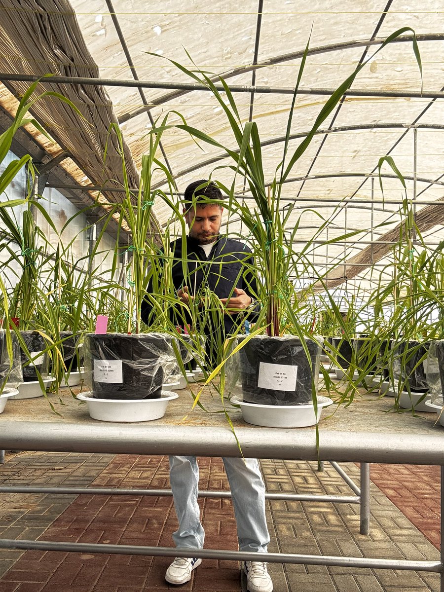 Amit Kumar tweet media