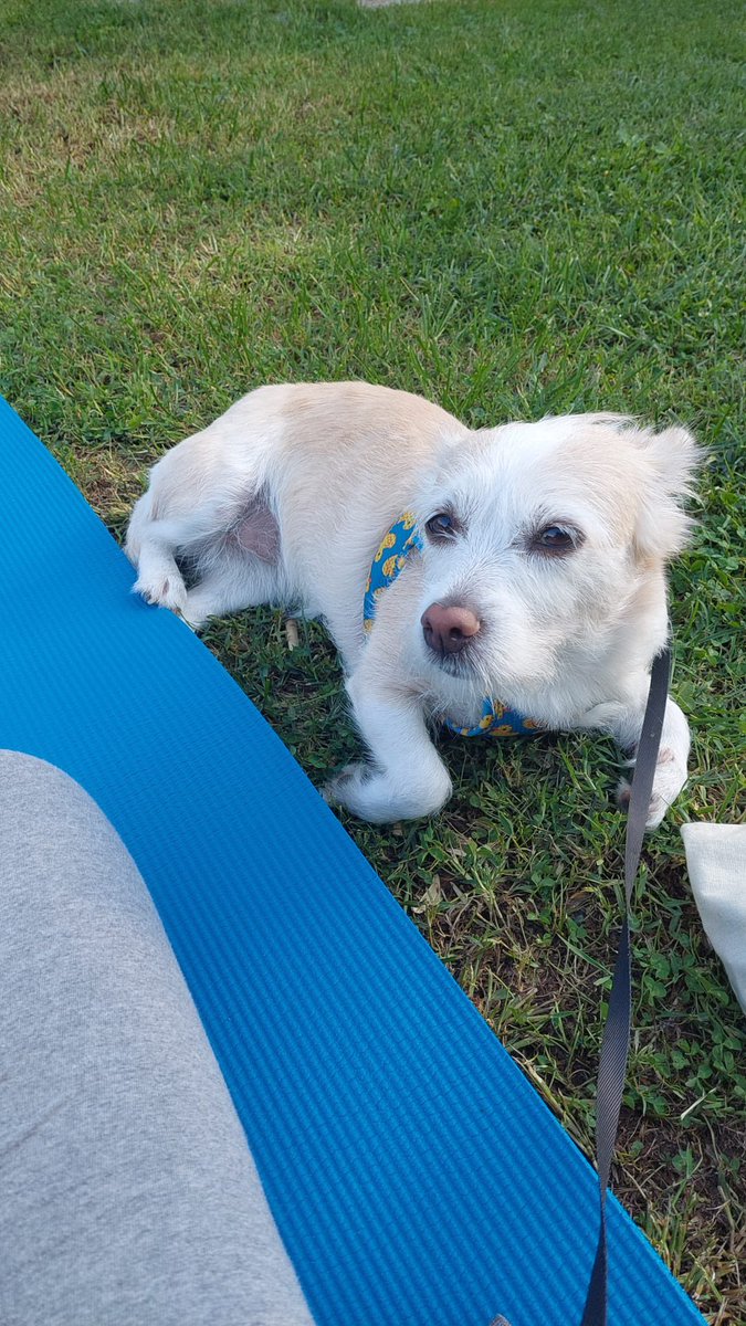 kardesm o hareleti yanlis yapiosun