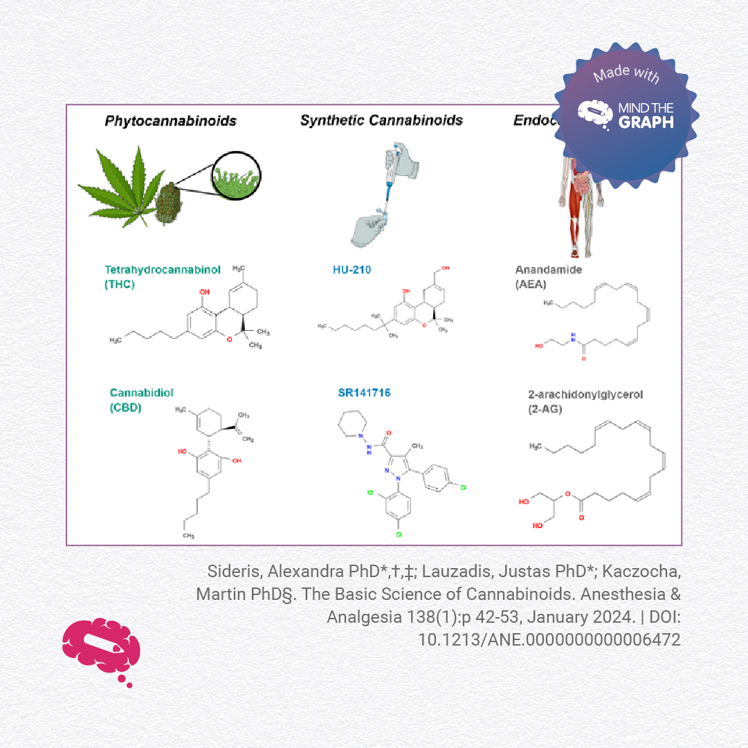 How do cannabinoids interact with the body?

A study by Sideris, Lauzadis &amp; Kaczocha in Anesthesia &amp; Analgesia explores CB1 &amp; CB2 receptors, neurotransmitter regulation, and cannabinoid pharmacology—all illustrated with Mind the Graph.

Read more: journals.lww.com/anesthesia-ana…