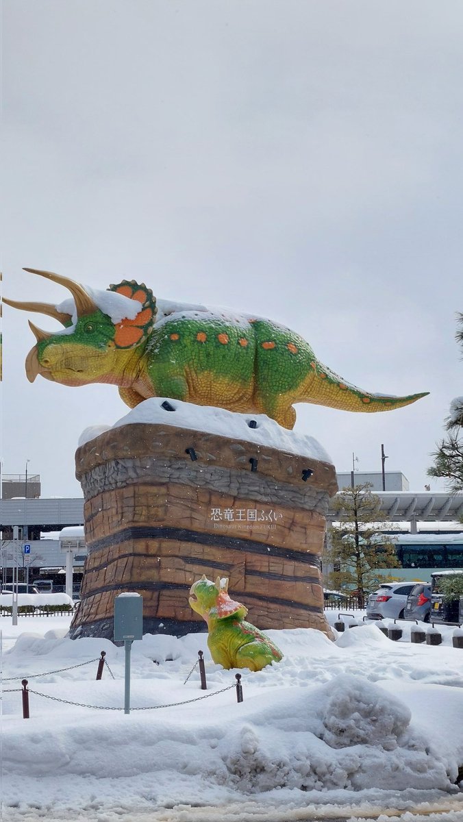 saran0811's tweet photo. 福井から送った荷物も無事に届いて一安心。もっと福井観光したかった～！
チャンミンが言ってたように会場に到着することと、無事に帰るのが大事だったから、駅前で買い物してごはんするのが精一杯。スタッフさんメッセージ通り、ある意味記憶に残るライブになったわ
#東方神起_ZONE https://t.co/Wr45IIHKbB