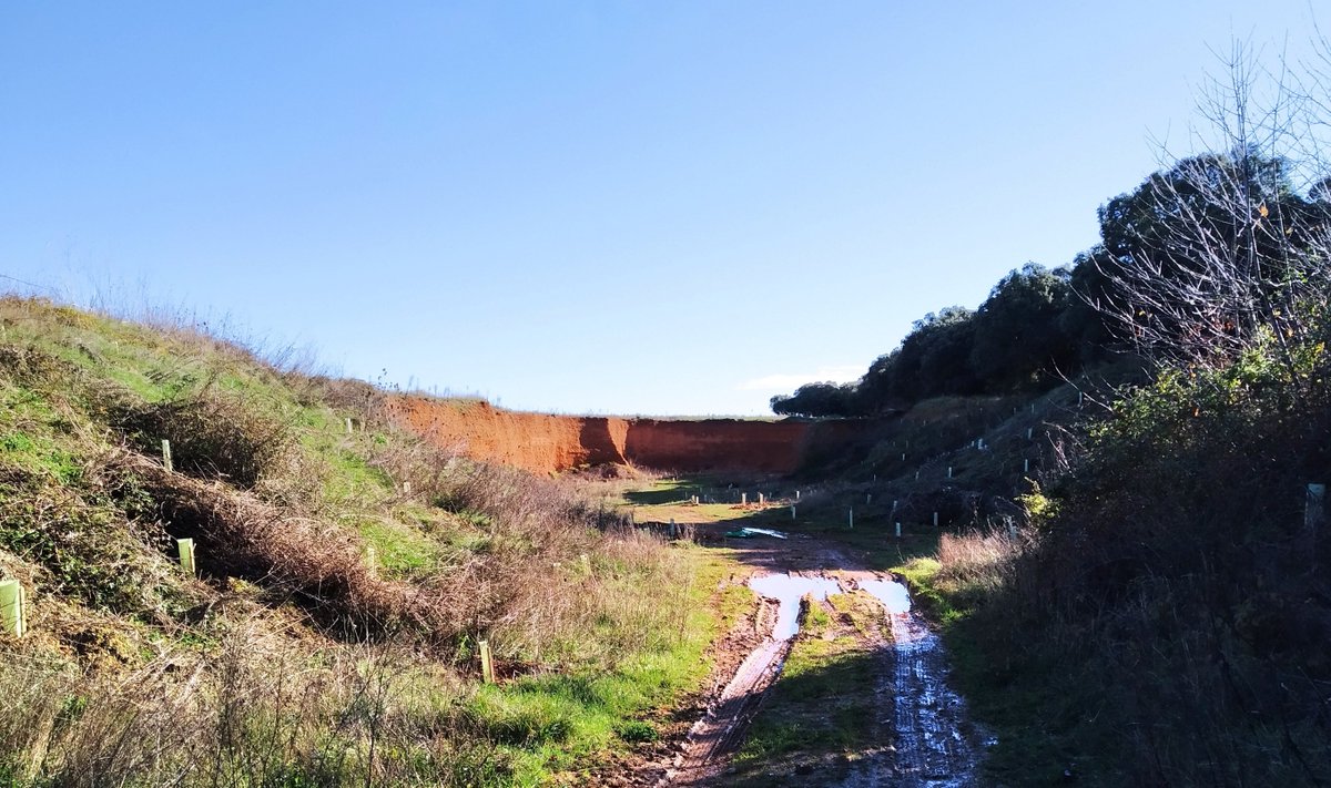 Araba's tweet photo. 🌿♻️ Vamos a restaurar más de 13 hectáreas de zonas degradadas en el parque de #Garaio, cerca del cerro de Ondoriz. Más biodiversidad, más resiliencia frente al cambio climático y más sumideros de CO2 para un futuro sostenible 👇
https://t.co/Fcs164xsb5
____________
🌿♻️ 13 hektarea baino gehiago berreskuratuko ditugu Garaio parkean, Ondoriz muinotik gertu. Biodibertsitate gehiago, erresilientzia handiagoa klima aldaketaren aurrean eta CO2 hustubide gehiago etorkizun jasangarrirako 👇
https://t.co/HQbW9JCCTz
#KlimaAraba2050 #FondosFEDER