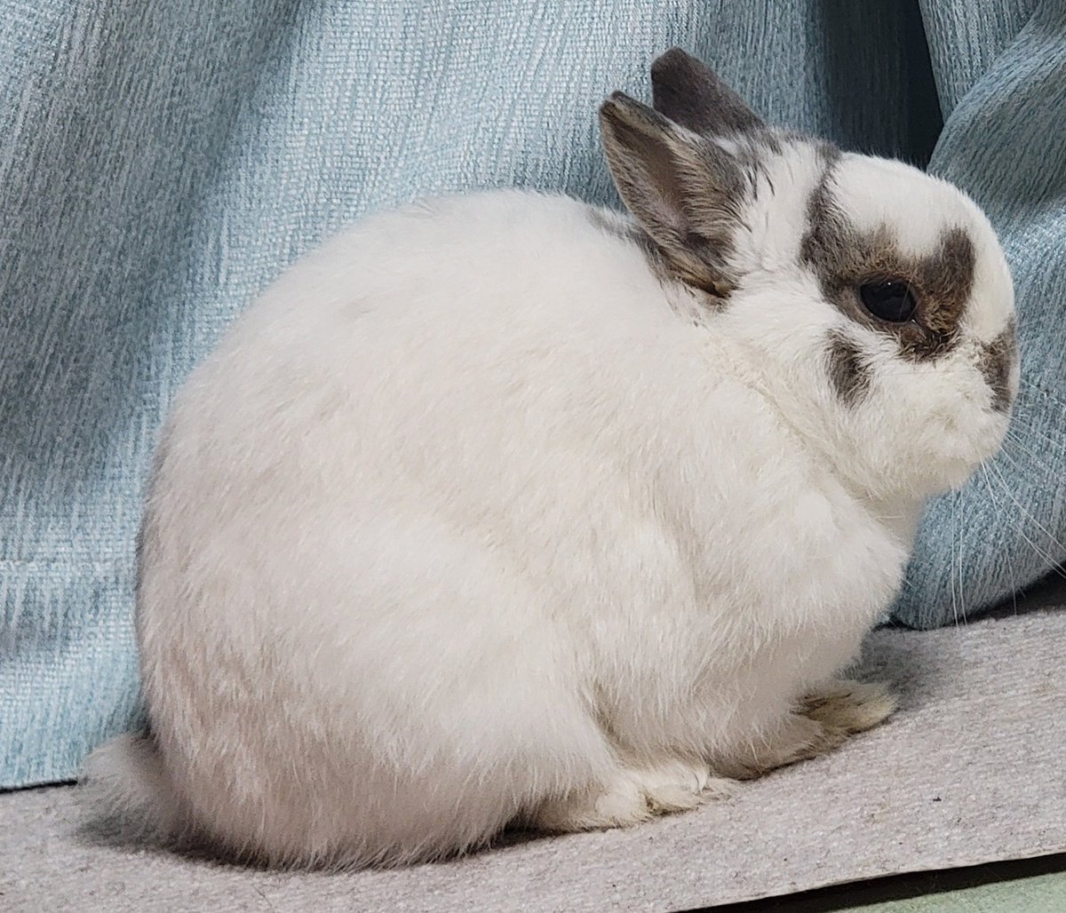 もう6歳になってしまった