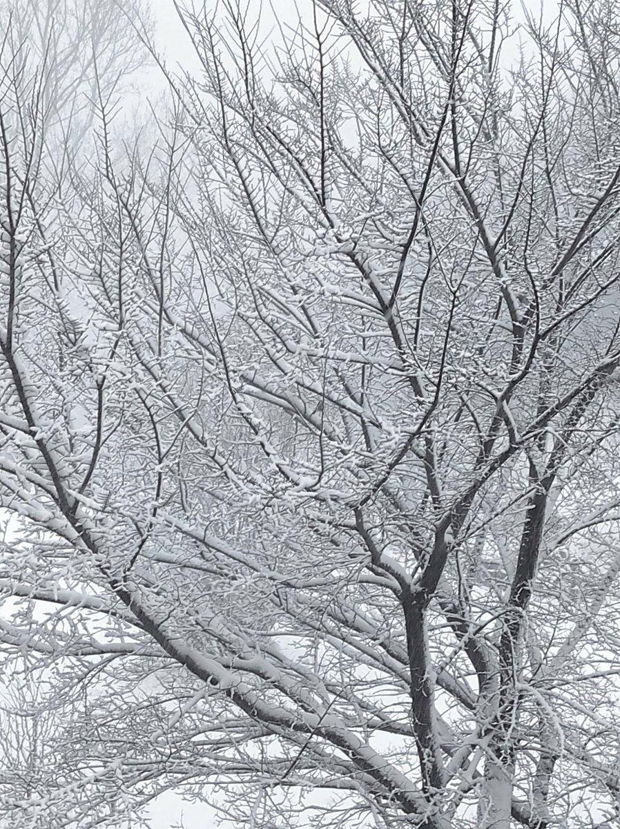 Dominique (@evennes7) on Twitter photo 