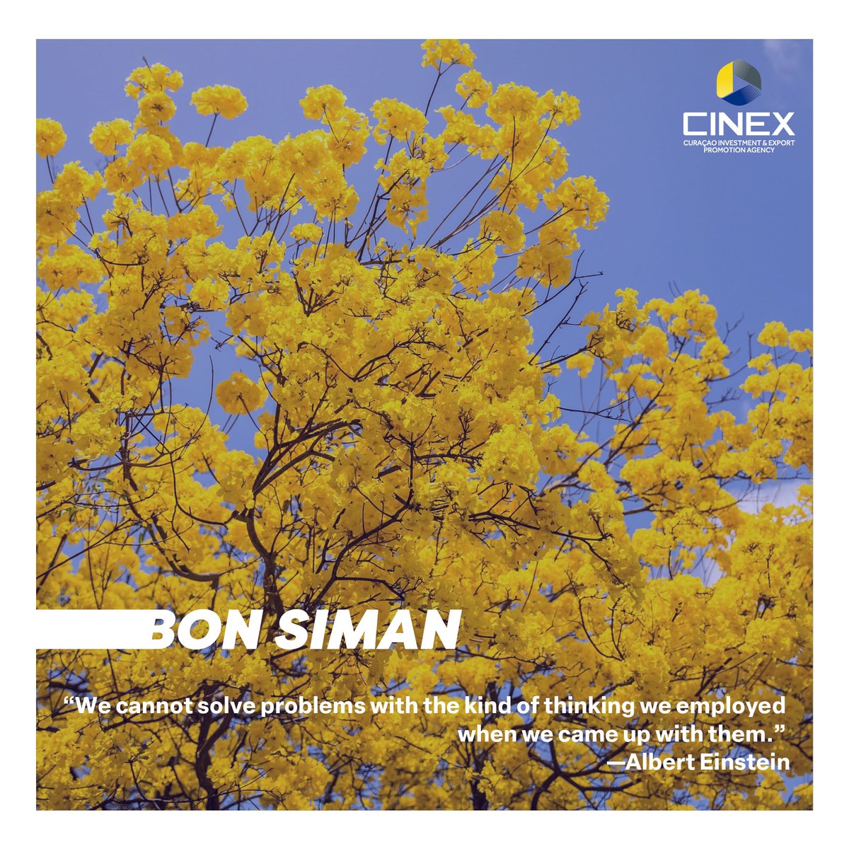 #BonSiman

#investincuracao #curacao #opportunities #development #investment #growth