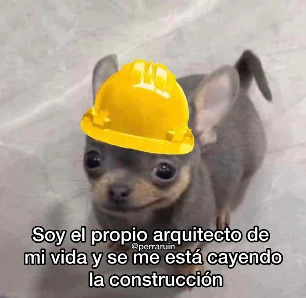 En Júpiter (@en_jupiter_) on Twitter photo 