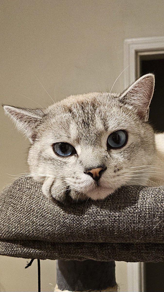 The precious one 💖