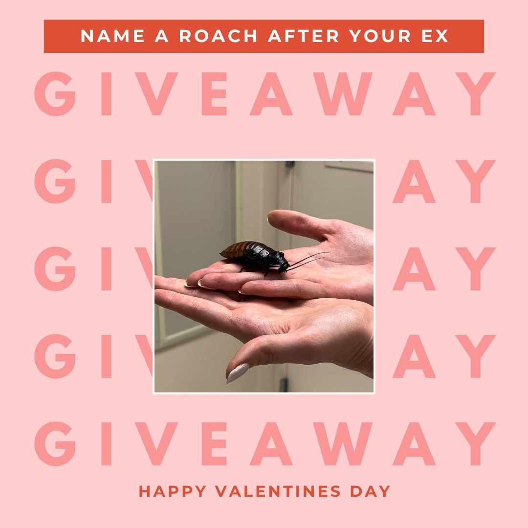 - GIVEAWAY TIME-

Three lucky winners will get to name a roach after their ex from our friends in our R&amp;D lab by:
- liking this post
- commenting
- following 

Winner will be announced 2/14

(No insects were tested on or harmed in the making of this content)