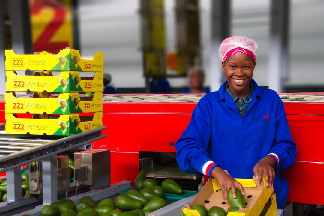 GautaMaake's tweet photo. @MDuval67321 @visse_ss @davincentjames yall should focus on your country and leave south african matters to south africans the real farmers are these ones not the owners but the people who actually do the work. You have zero knowledge about south african affairs stay in your lane. https://t.co/K1tn152gwA