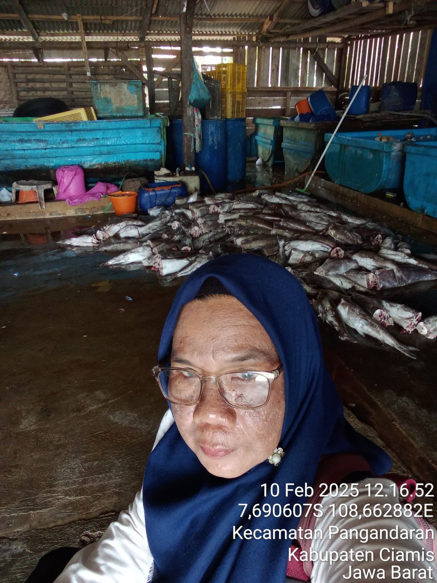Darsitipnd's tweet image. Senin (10/02/25), Darsiti,SP, Luhkan Kab. Pangandaran di poklahsar jajambean mdpgi pglhn ikan asin jambal roti sbyk 3580kg basah @30000 hsl kering @100000/kg.
#GiatLuhkanSarminkalBogor #Pangandaran #Produksi #Luhlapor @bppsdm_puslatkp @brpbatpp_bogor @kkpgoid @ika_kodariah