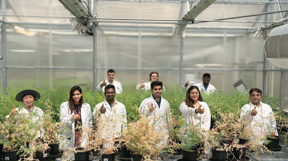 Thumbs up if you love legumes!

#Worldpulsesday is a great opportunity to reflect on the many benefits this food group offers farmers, consumers and the environment.

By growing pulses, farmers can improve soil health and reduce the risk of common plant diseases.
By eating