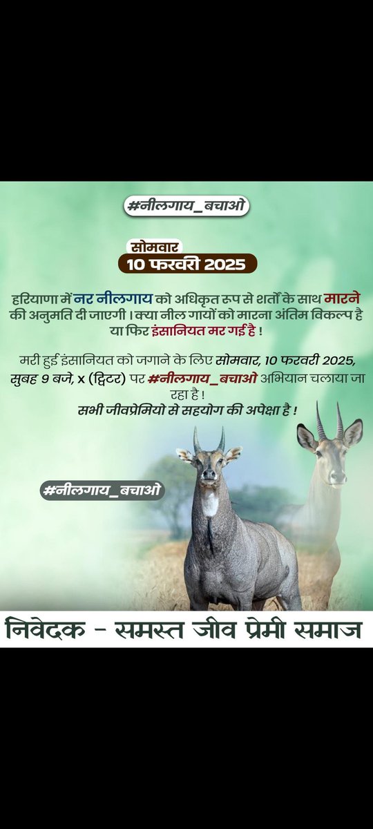 sagarrawal780's tweet photo. विश्वास नहीं होता है कि वन्य जीव नीलगाय को मार���े की अनुमति देने वाली सरकार...
 गौ माता की रक्षा करेगी.......?
#नीलगाय_बचाओ
#पर्यावरण_बचाओ#नीलगाय_बचाओ https://t.co/A5JYCx6STh