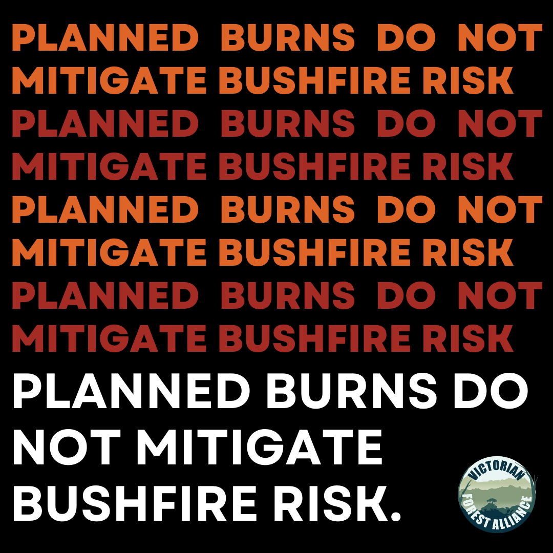 alliance_forest's tweet photo. We've been researching #PlannedBurns in forests for #BushfireMitigation, and the evidence shows:
PLANNED BURNS DON'T STOP BUSHFIRES. π₯
We need to adopt best science and not just follow the status quo.
Let's change the way we do forest fire management.
#RethinkPlannedBurns https://t.co/AtII4mPk7q