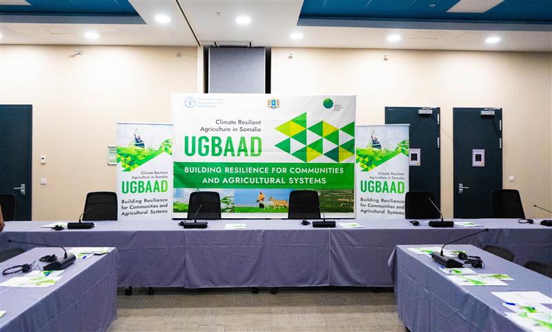FAO in Somalia (@faosomalia) on Twitter photo We are ready! 🚀
With $79.7M from <a href="/theGCF/">Green Climate Fund</a>, we're set to launch #Ugbaad, alongside the Government of Somalia!
Initiative will restore landscapes, strengthen livelihoods, & build climate resilience for over 2 million Somalis. Stay tuned!
#Ugbaad
#ClimateActionSomalia We are ready! 🚀
With $79.7M from <a href="/theGCF/">Green Climate Fund</a>, we're set to launch #Ugbaad, alongside the Government of Somalia!
Initiative will restore landscapes, strengthen livelihoods, & build climate resilience for over 2 million Somalis. Stay tuned!
#Ugbaad
#ClimateActionSomalia