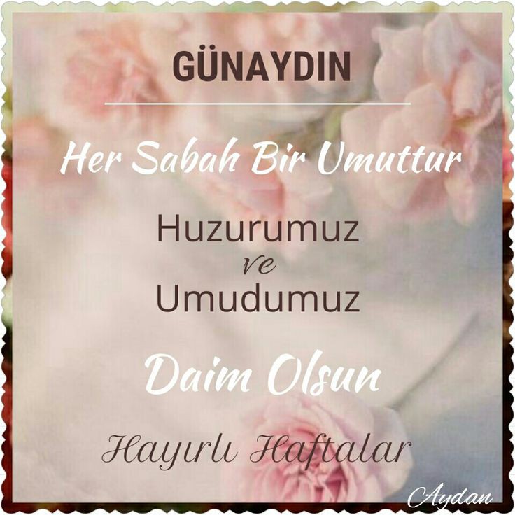Selamünaleyküm 😇

Yeni haftaya
Yeni güne
Yeni umutlara
 Bismillahirrahmanirrahim.. 

Gönlü güzel üslubu zarif duası makbul insanlara denk gelesiniz... 🌿🌹

Hayırlı Sabahlar 🤗

#pazartesi
#Günaydın
#Rojbaş