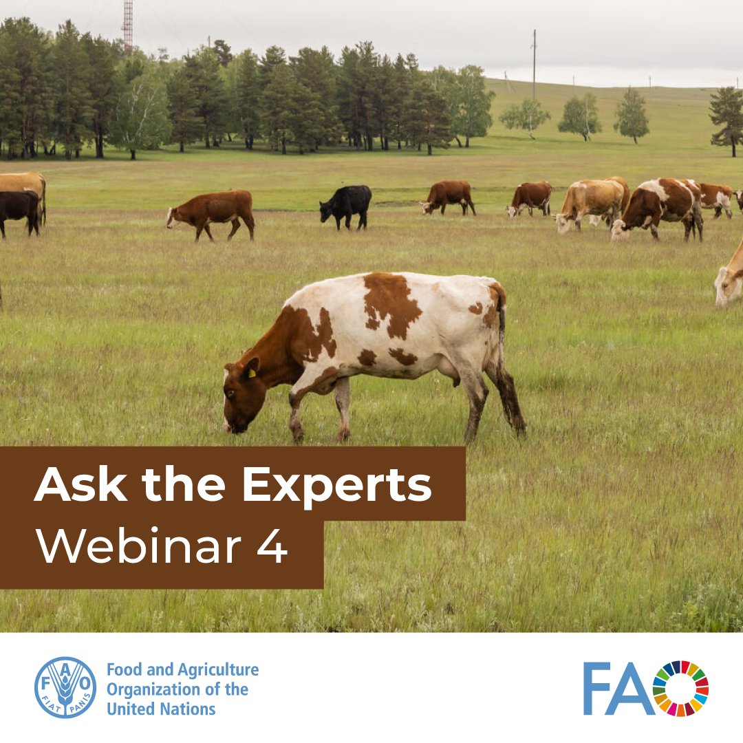#FootAndMouth preparedness interactive webinars are continuing! Mark your calendars for tomorrow &amp; explore the latest update on the Global FMD situation &amp; risk in the European neighbourhood.

📅 12-1 PM CET
🔗 shorturl.at/JKtB2

ℹ️ Upcoming webinars: shorturl.at/ausox