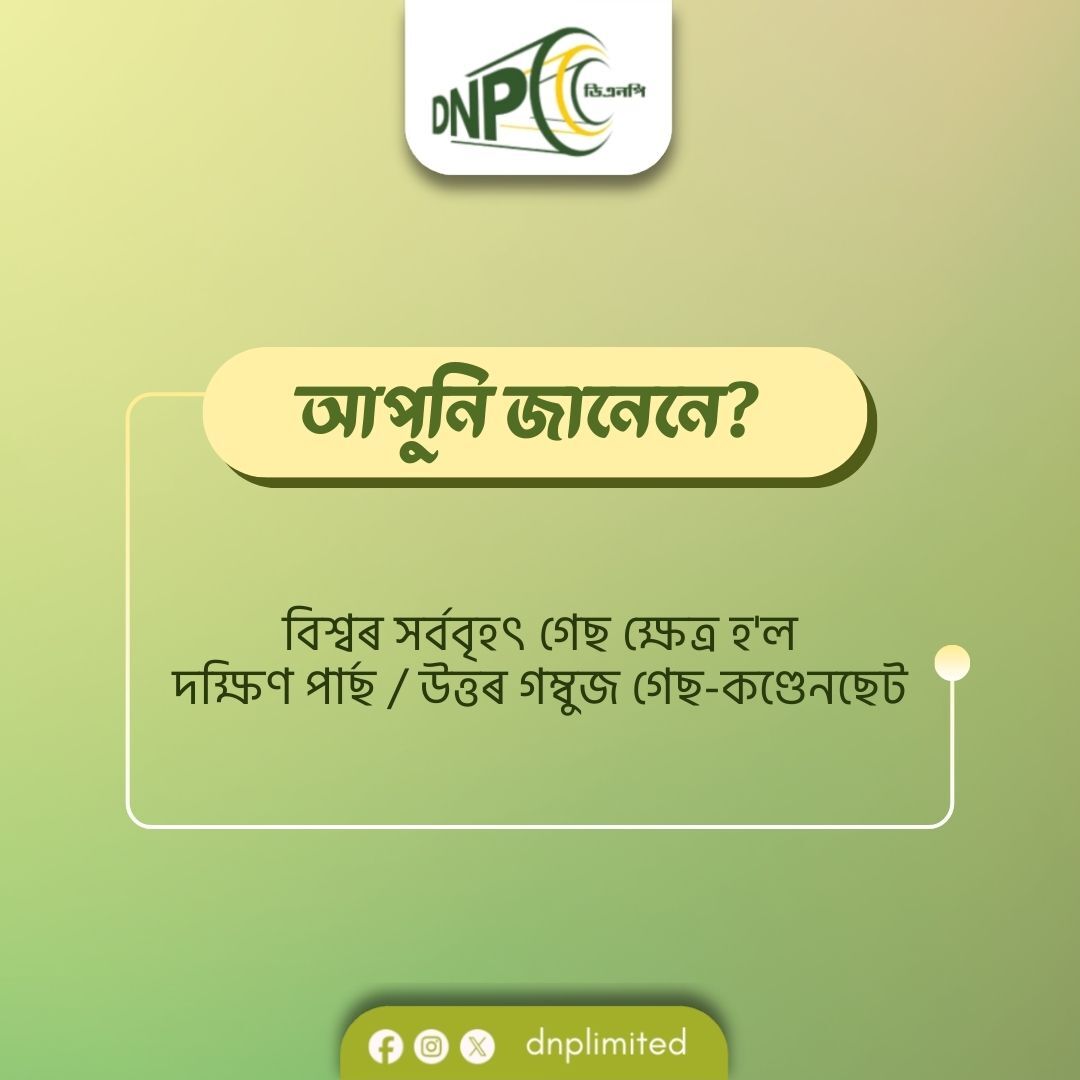 DnpLimited's tweet image. এই গেছ ক্ষেত্ৰখনত প্ৰায় ৫১,০০০ ঘন কিলোমিটাৰ প্ৰাকৃতিক গেছ আৰু ৫০ বিলিয়ন বেৰেল ঘনীভূত গেছ আছে বুলি অনুমান কৰা হৈছে।
.
.
#DNPL #DidYouKnow