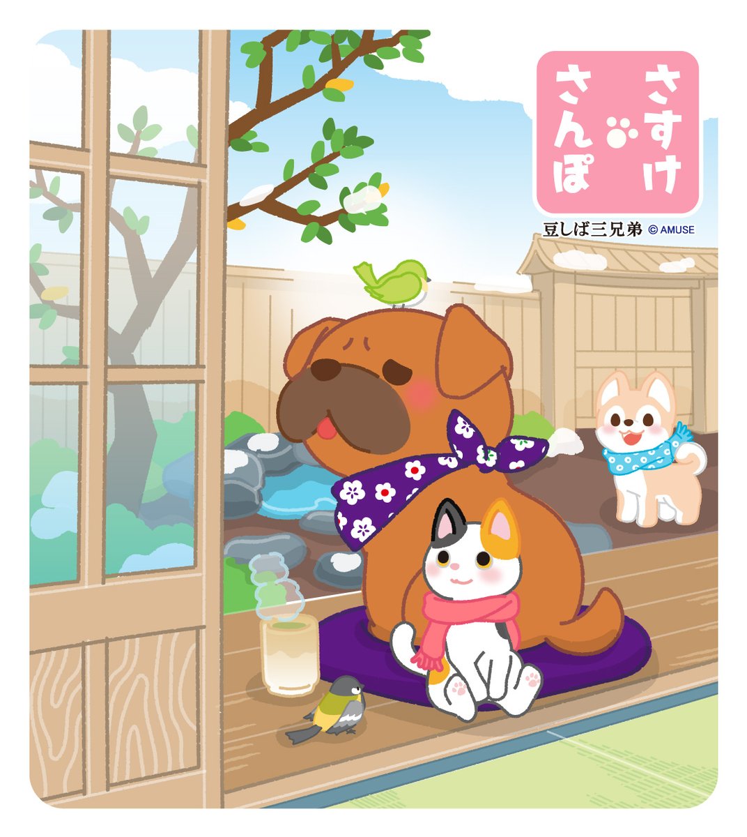 🌸春はまだかな～ って縁側でひなたぼっこしてる 土佐犬のとしおです