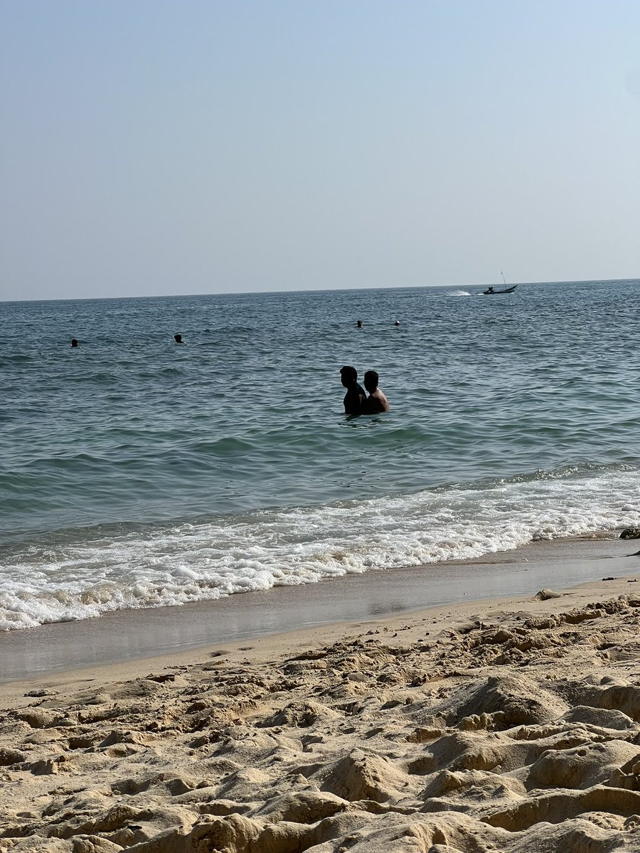 Mecepoud tweet media