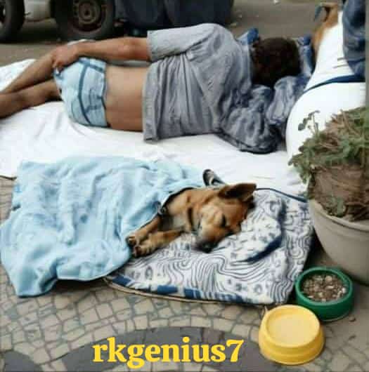 Adarshvwastha's tweet photo. Some people are poor of money but rich of heart because a house without pets is like Garden without flowers. #PetsBringUsTogether #innocentDogs #DogsCareBringsJoy #DogsInLove #dogsarefamily #dogsontwitter https://t.co/RPUEG8TF0f