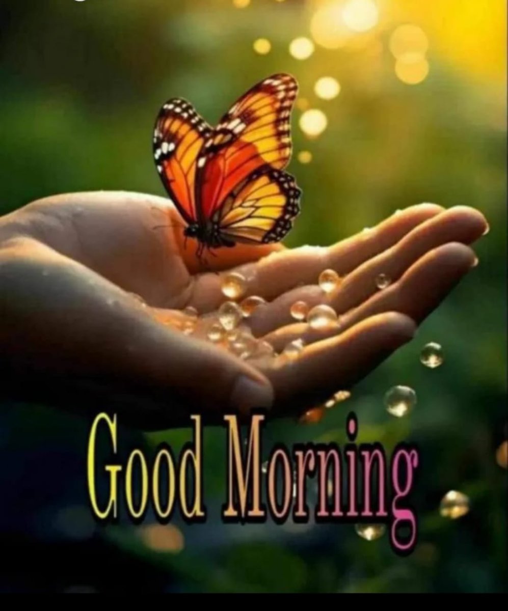 Investment offer invest today and get up to 5 crore on 5th year genuine deal any one intrest to know more details watsup my number 9030121639