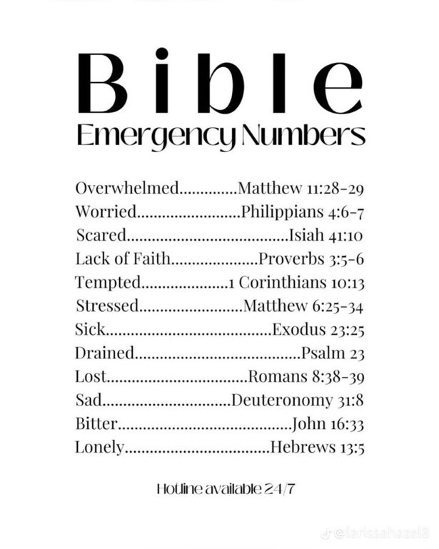 Bible 365 (@bible365_) on Twitter photo 