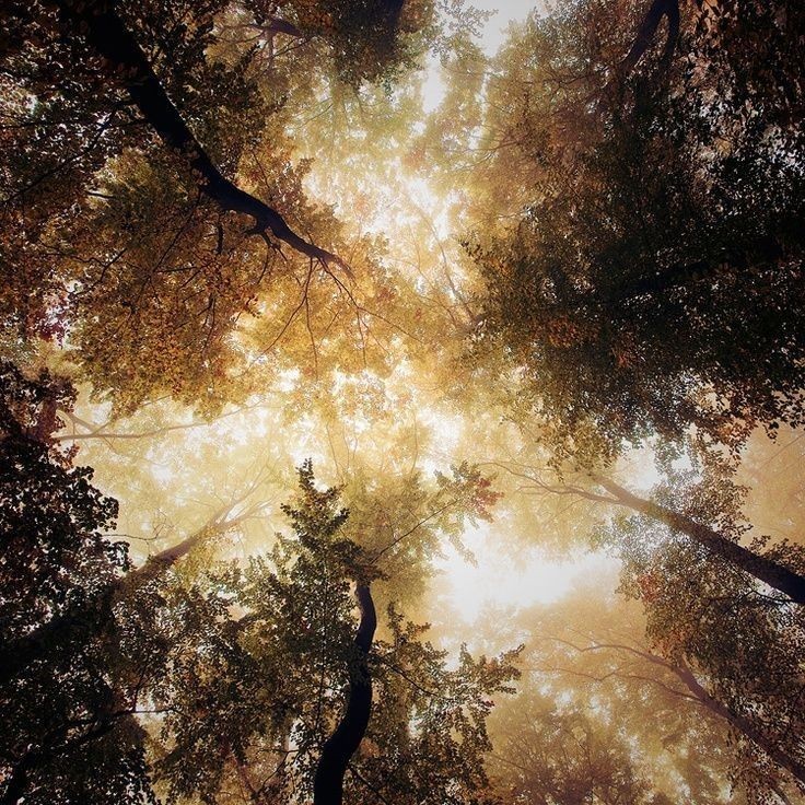 'Look, up at the sky.
There is a light, a beauty up there, that no shadow can touch.'

J.R.R. Tolkien 
.