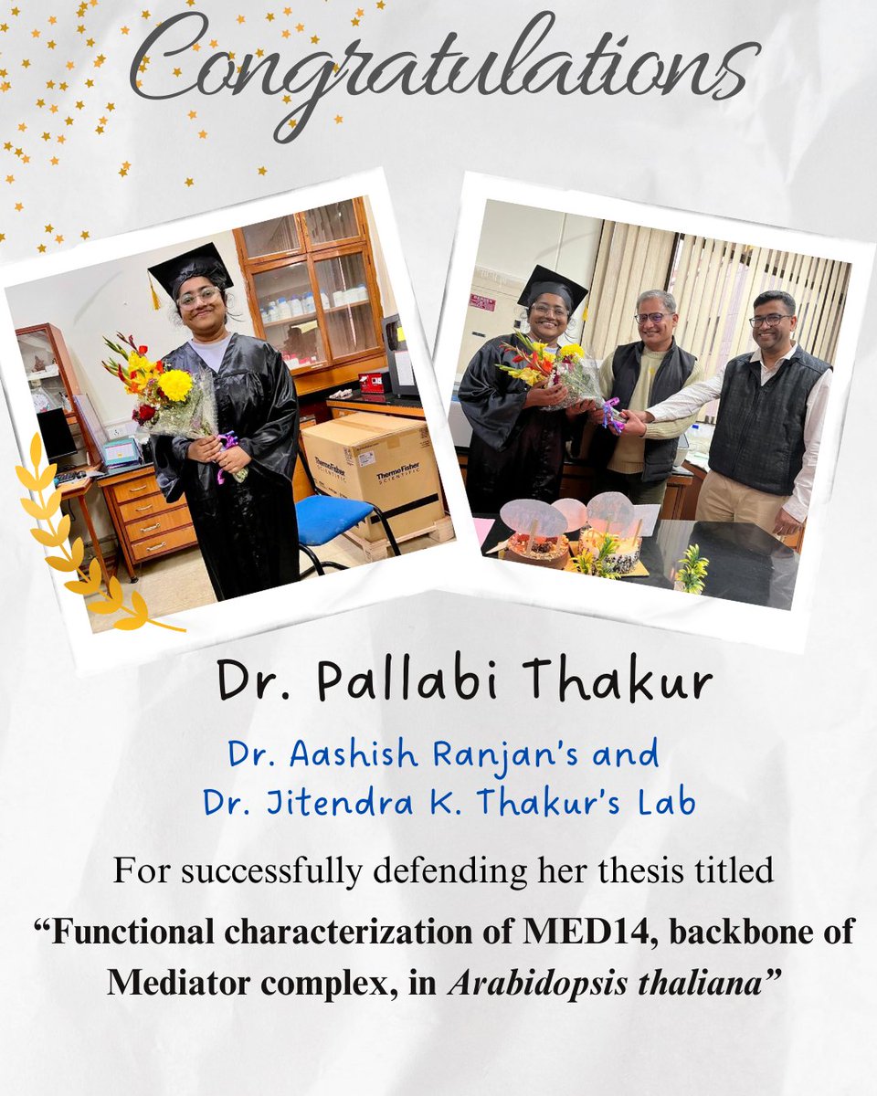 Plant Transcription Regulation Lab tweet media