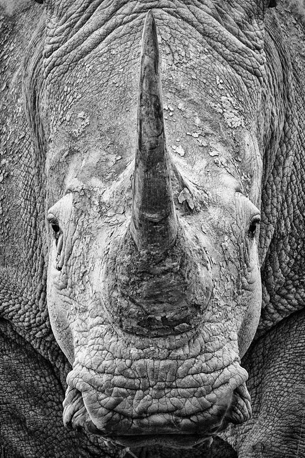 Sue Spurgin tweet media