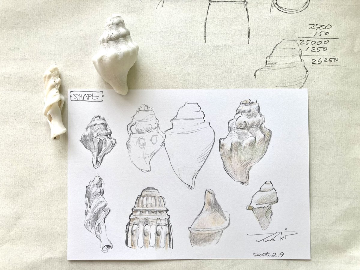 Shape sketch 