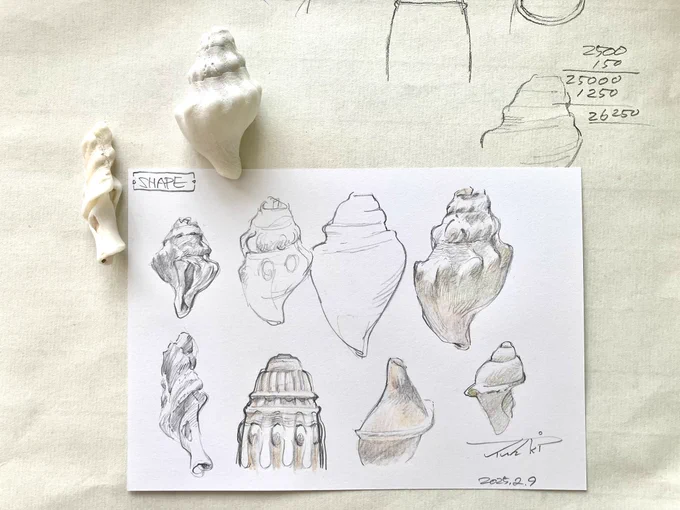 Shape sketch 