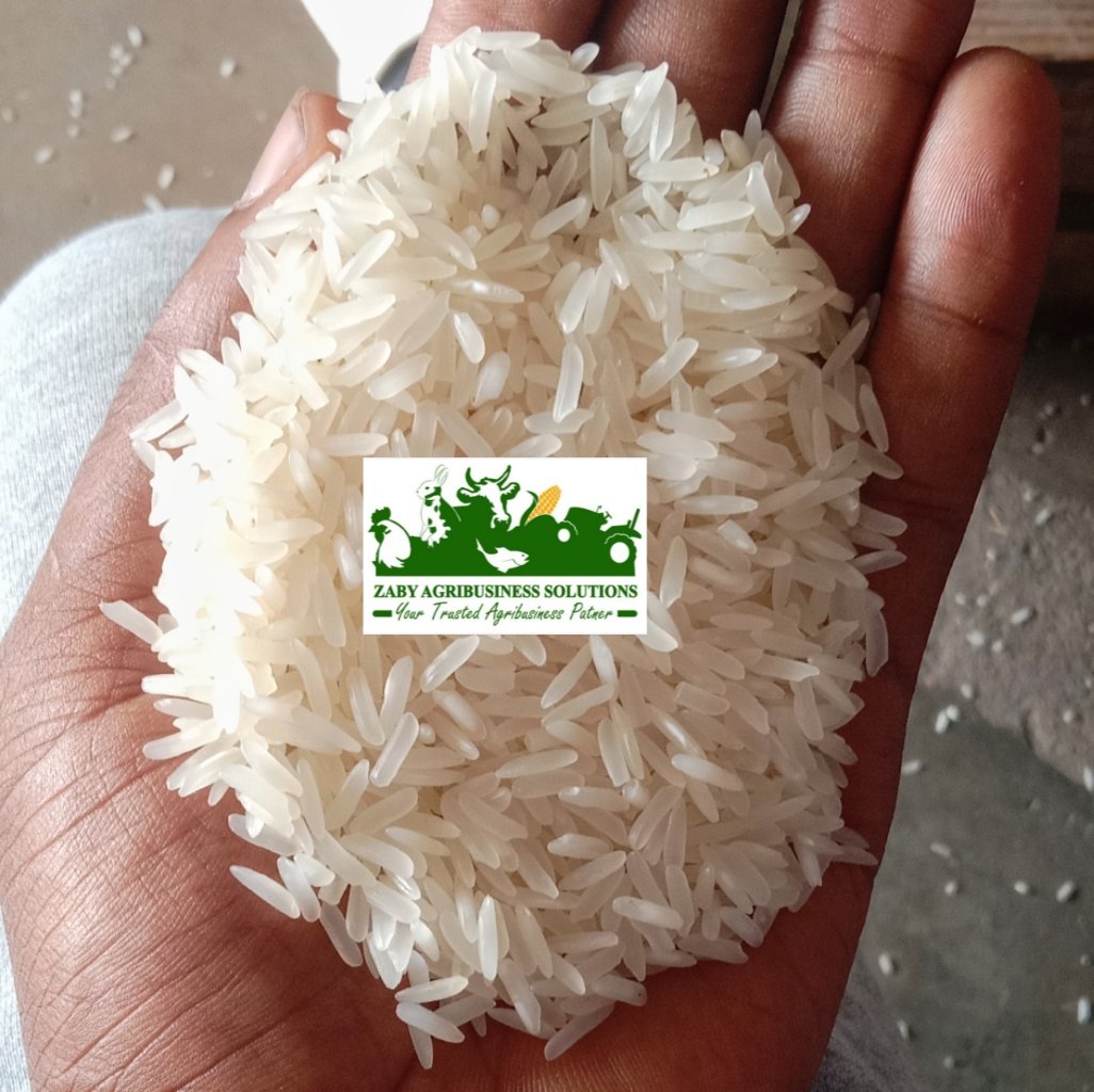 ZabyAgSolutions's tweet photo. Mchele SUPER unapatikana 
Bei ya jumla 2,900 kuanzia kg 100
Rejareja 3,100
KARIBUNI SANA 
0742696253
@kilimoufugaji @HusseinBashe
DELIVERY TUNAFANYA KWA HUDUMA NAFUU KABISAA https://t.co/9FkYrSsl7j