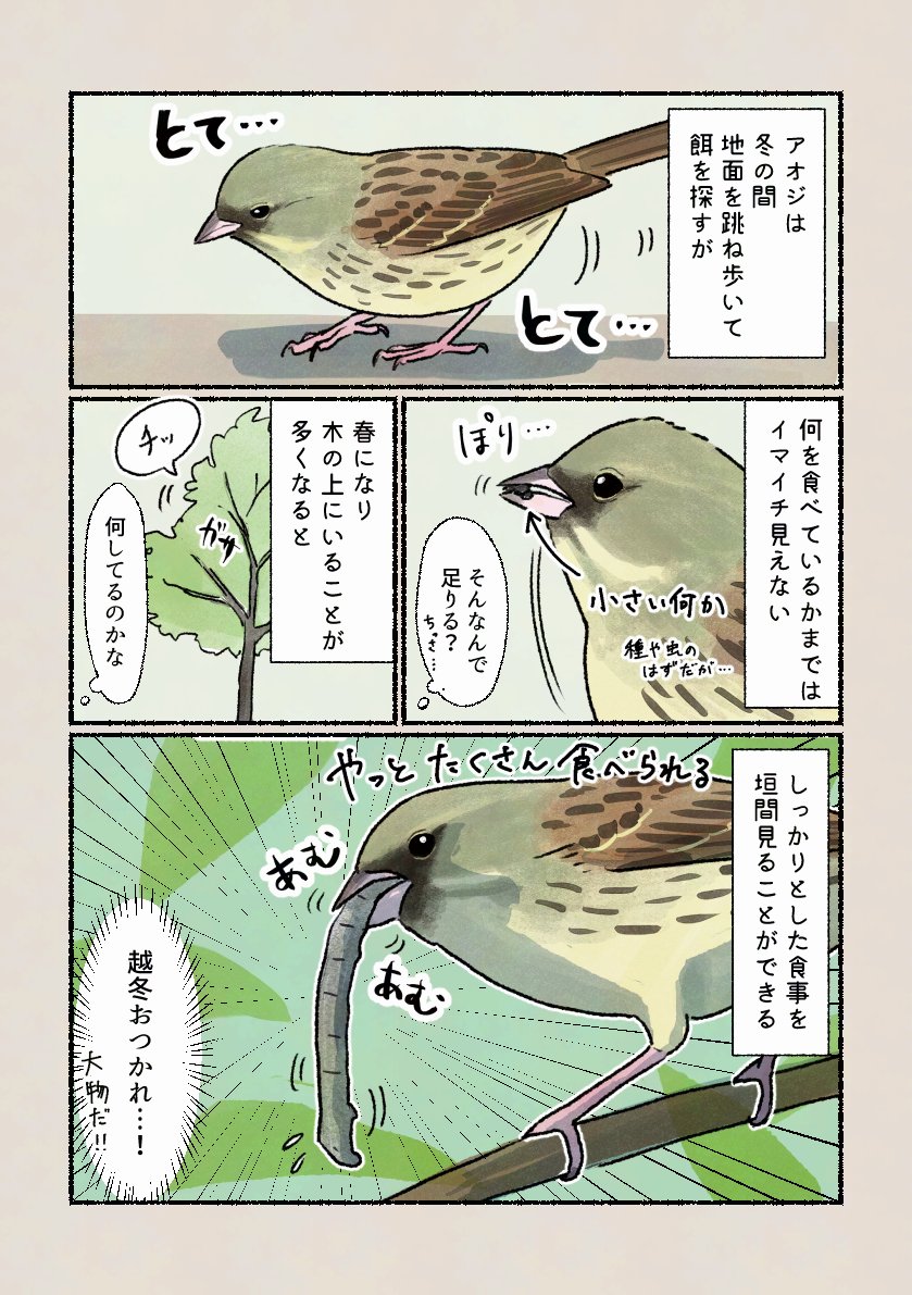 木の中で何を?」 やっときた春!子育てに向けて栄養をつけているのかもしれません。 」𝚙𝚒𝚛𝚘 𝚙𝚒𝚛𝚘 𝚙𝚒𝚌𝚌𝚘𝚕𝚘の漫画