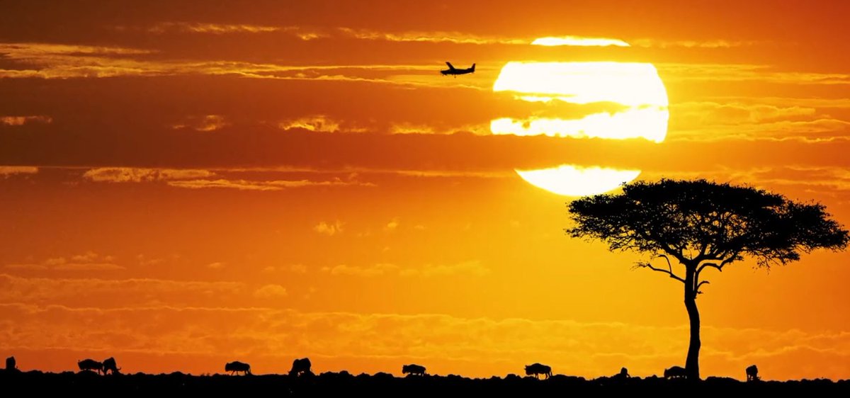 K-Drama Menfess tweet media