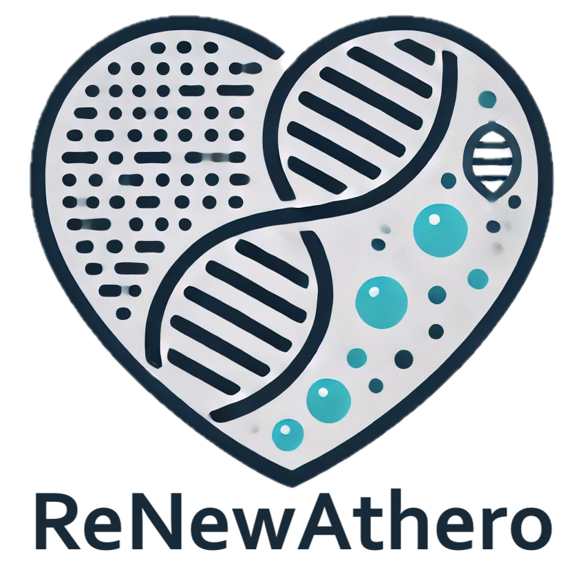ReNewAthero, #Cardinnov_E4H funded project, aims to develop a mRNA vaccine to reduce atherosclerosis.
Coordinated by <a href="/UniLeiden/">Universiteit Leiden</a> 's Dr. Bram Slütter
Partners
Tel Aviv University
<a href="/KU_Leuven/">KU Leuven</a>  
s.mtrbio.com/migciqsopt