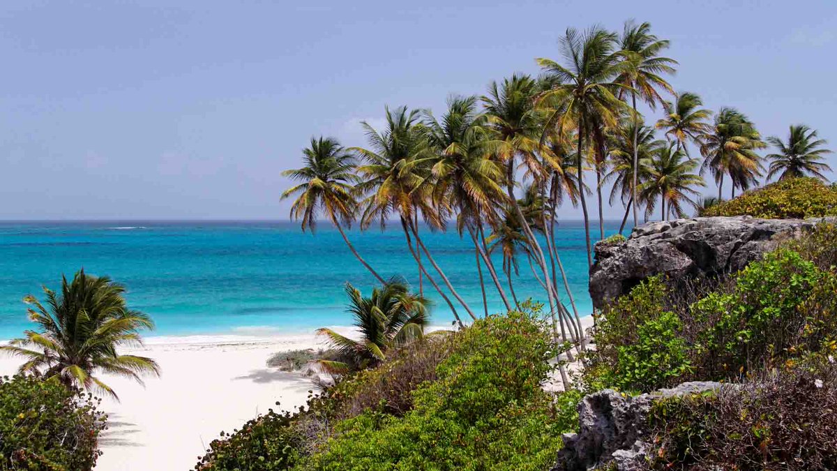 DON'T MISS THIS OPPORTUNITY! Coral Reef Stewardship Fund 2025 Request for Proposals

nfwf.org/programs/coral…

The National Fish and Wildlife Foundation (NFWF) will award grants to improve the health of coral reef systems. Grants will be awarded to reduce land-based sources of