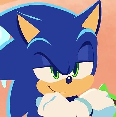 Sonk The Hedgehog tweet media
