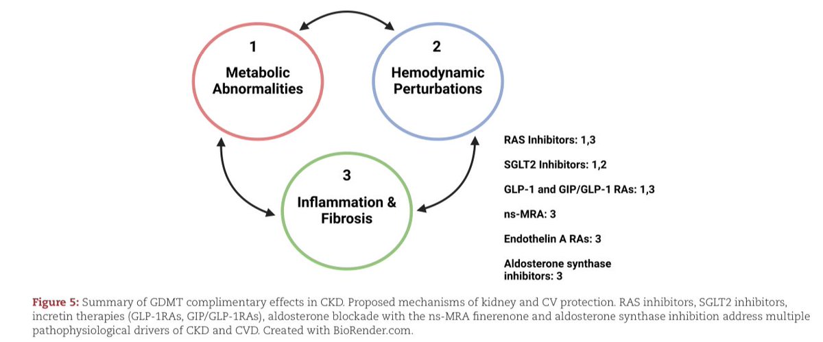 hardik4u24's tweet image. 🚀 Explore how #SGLT2i , GLP-1RAs, ns-MRAs, ERAs, &amp;amp; ASIs revolutionizing #CKD treatment 

Targets hemodynamics, inflammation, fibrosis, and beyond! 🌟 

📖 doi.org/10.1093/ndt/gf…
 
#NDT #Nephrology #Cardiology #InternalMedicine #Finerenone #MedTwitter