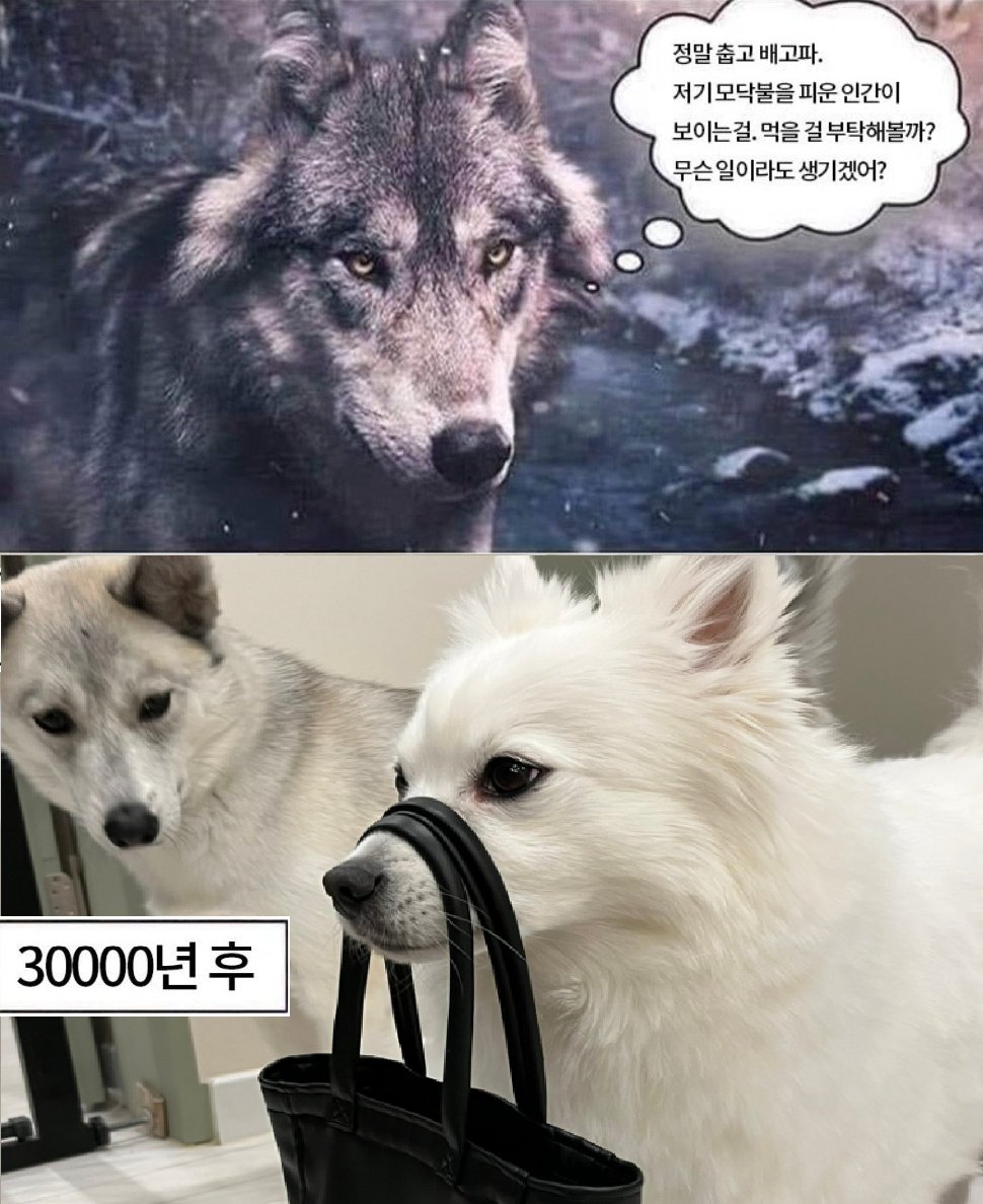 수함 (@sortleirz) on Twitter photo 